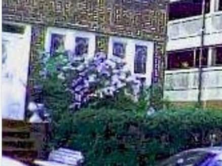 1029 48th St unit 2 rear, Brooklyn, NY 11219 - photo 3