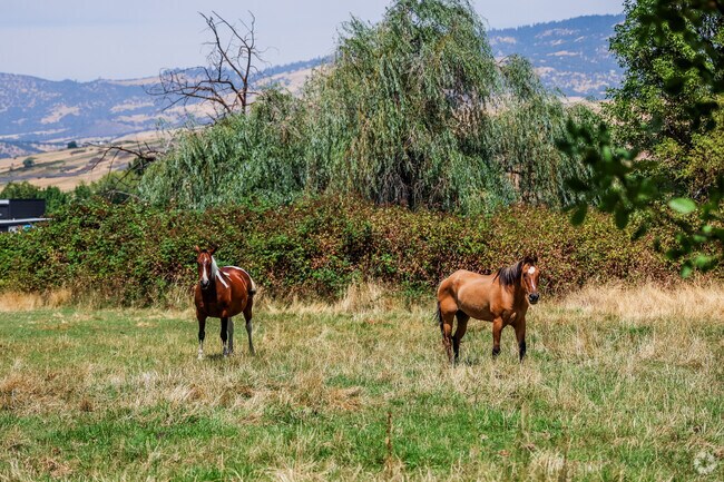 North Ashland is the perfect place for wildlife and nature lovers.