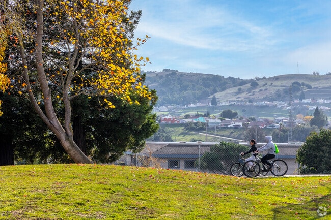 Families enjoy biking through Foxboro Park in Hercules.