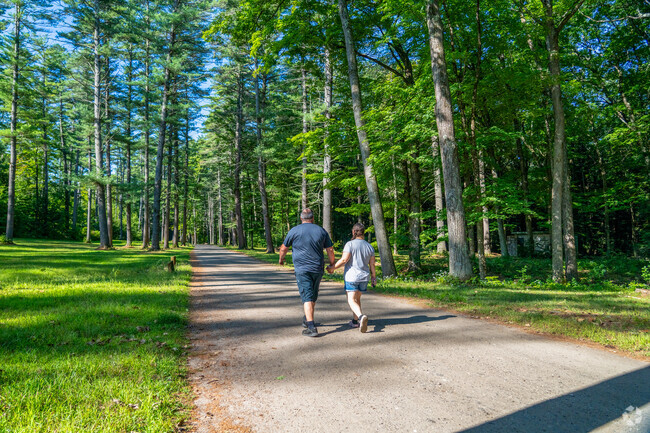 Folks stroll along a path with towering green trees at Moody Park.
