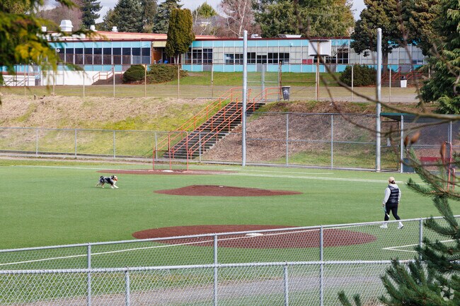 The baseball field at the Soundview Playfield is a great spot to play fetch in Olympic Manor.