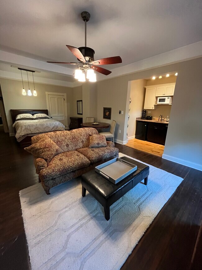 147 E Chestnut St unit 10, Asheville, NC 28801 - photo 4