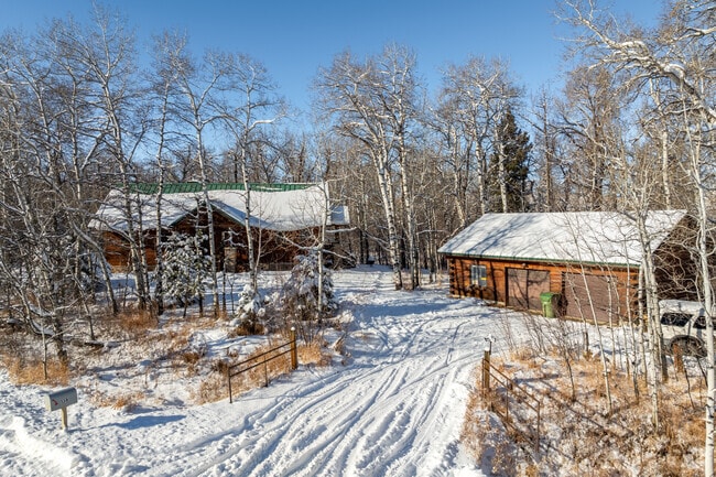 Tall trees provide shade and extra privacy for homes in Luther.