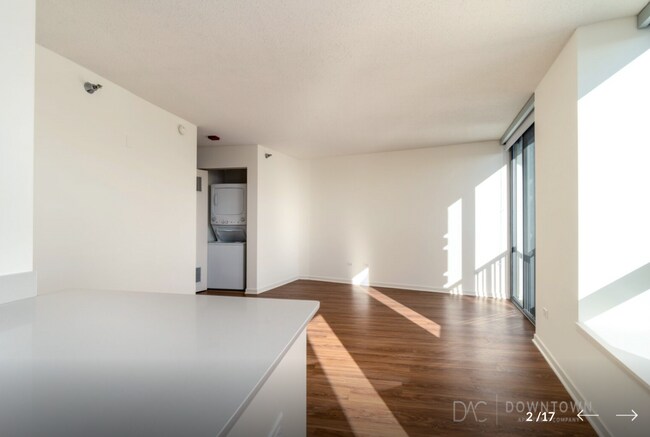 Admirals Pointe unit 3103, Chicago, IL 60654 - photo 3