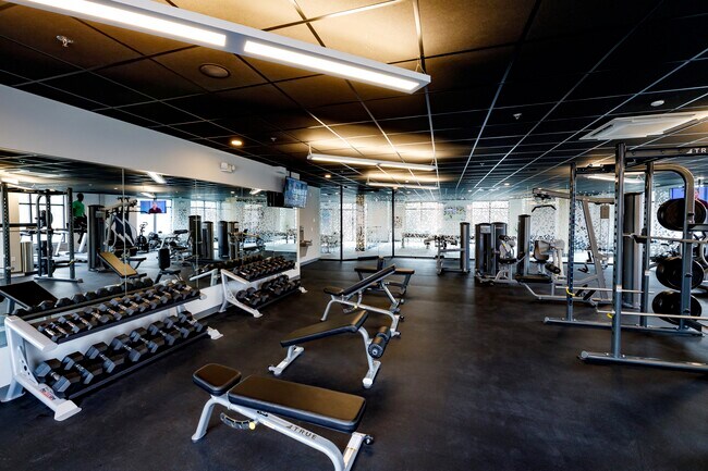 The Rise: Pine Hills, Albany, NY 12208 - photo 6