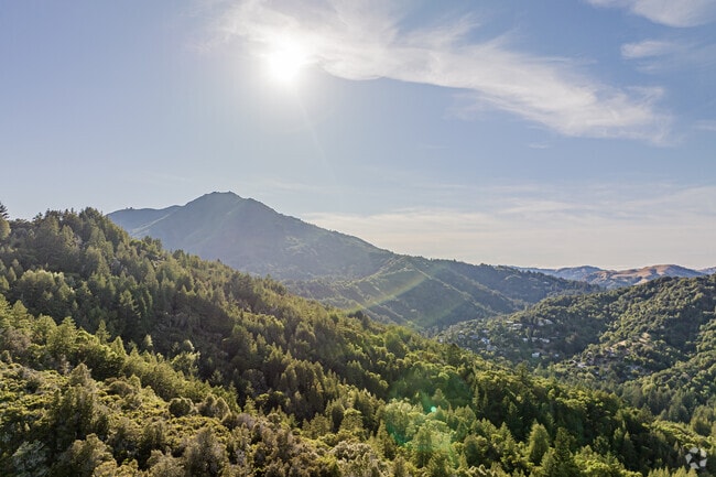 Mt. Tamalpais offers a picturesque hike that rests near Novato.