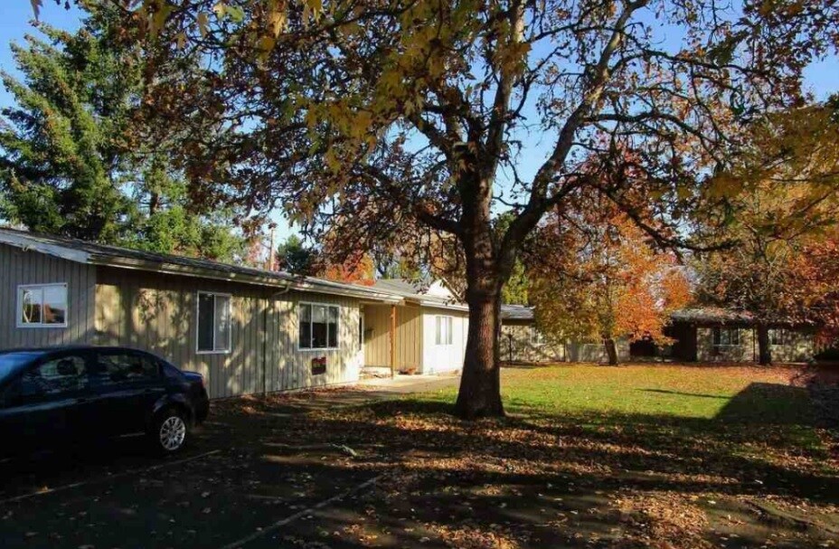 Mature trees in front yard