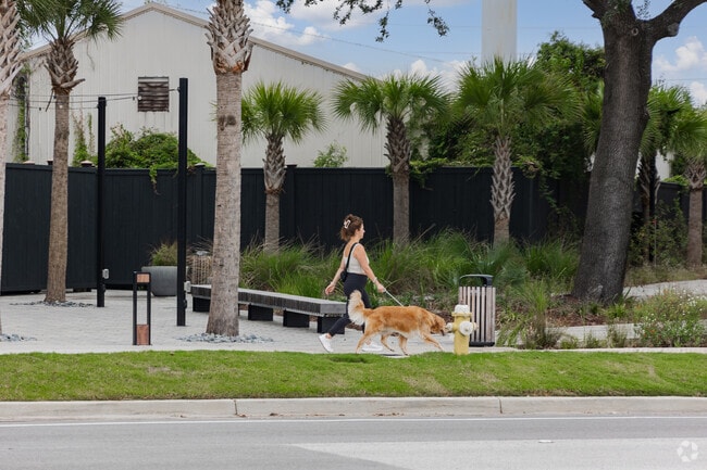 Charleston’s North of Morrison neighborhood offers wide sidewalks perfect for walking your dog or enjoying a stroll.