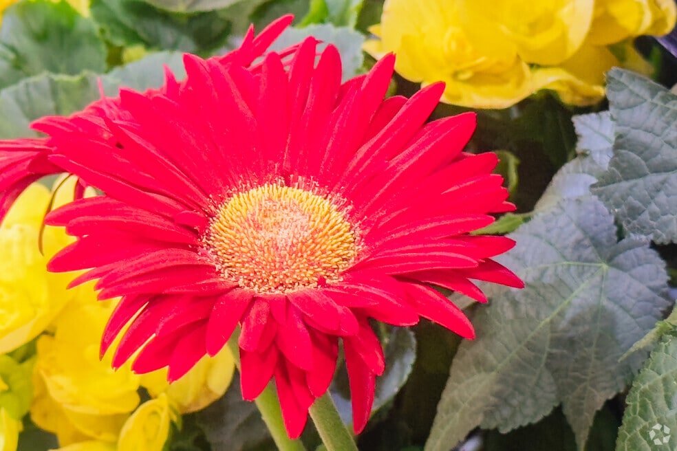 HD-NH_Billings Park_553831_P2_V3_WA_100224