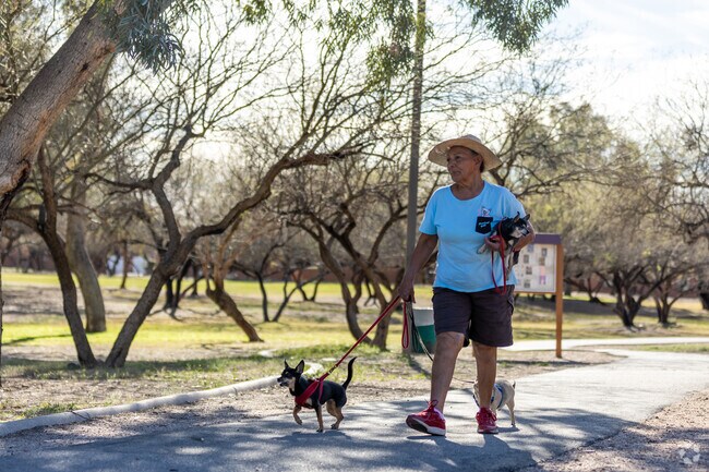 Go for a nice walk at the Limberlost Family Park with park with your four-legged friends