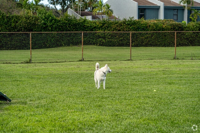 The Pembroke Pines Craig Rupp K-9 Dog Park has amazing space for dogs to play.