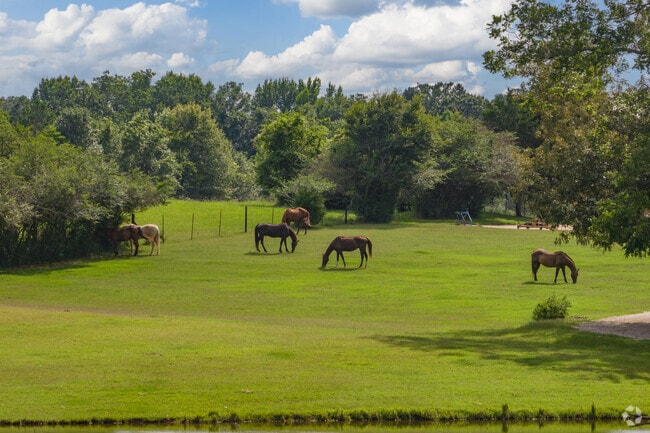 Center Hill is a popular neighborhood for equestrians.