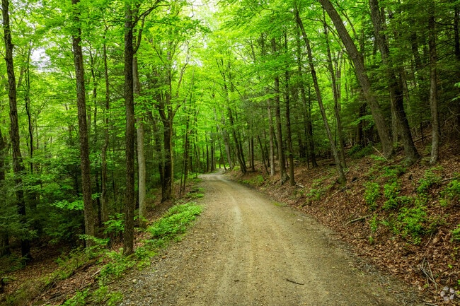 Nipmuck State Park offers peaceful walking trails where locals enjoy hiking, birding and moose-spotting.