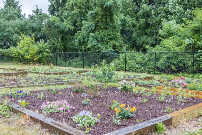 Outside is a nice planted garden for students at Island Creek Elementary School to observe.