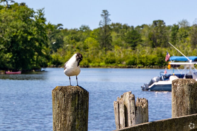 Weymouth Township is rich in waterways, with streams and lakes that feed the Kirkwood-Cohansey aquifer, one of the purest groundwater sources in the nation.
