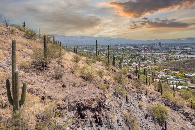 Residents enjoy the desert views at Sentinel Peak Park.