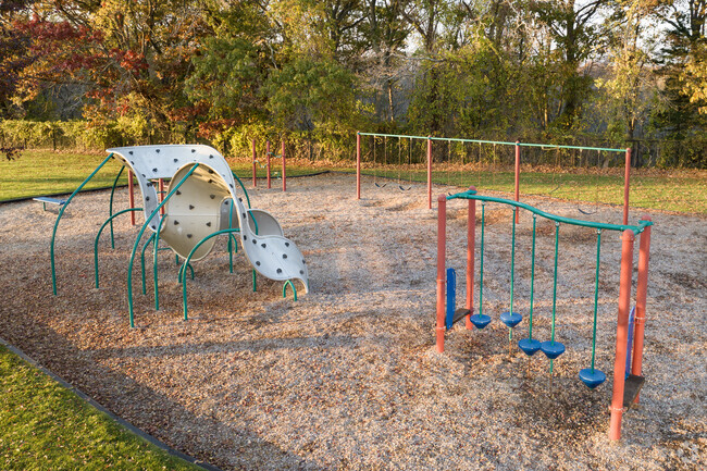 Centreville kids love the funky playground at Maise E Quinn Elementary.
