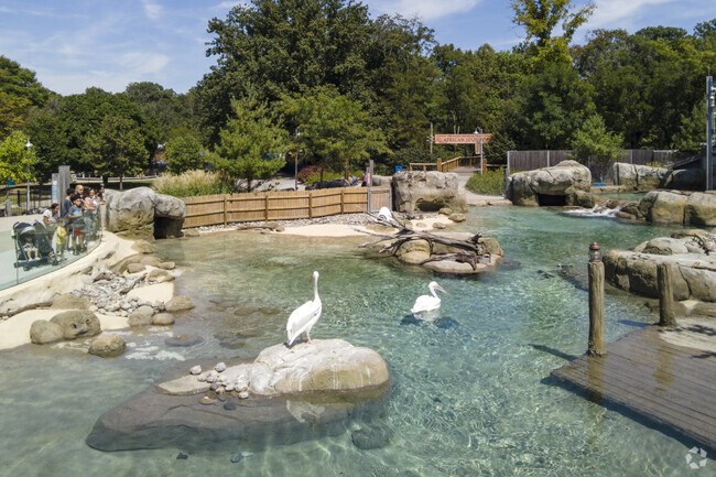 The Maryland Zoo is a short car ride from the Loch Raven neighborhood.
