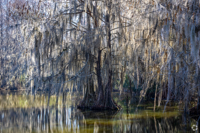 Lake Bearshear is located just outside of town, nestled between Cordele, GA, and Americus, GA.