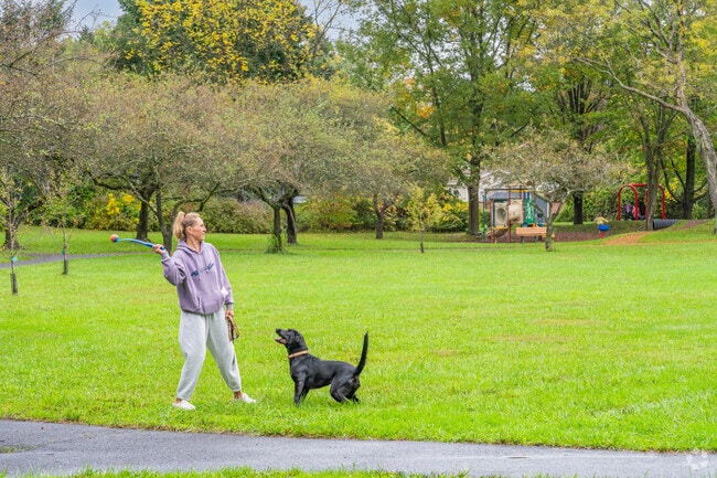 Locals from residential areas play with their dogs at Tusseyview Park.