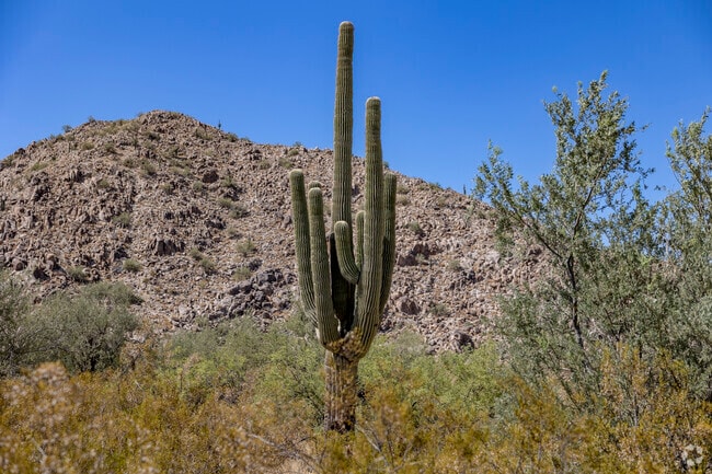 Desert lovers will enjoy the proximity to incredible scenery around Coolidge.