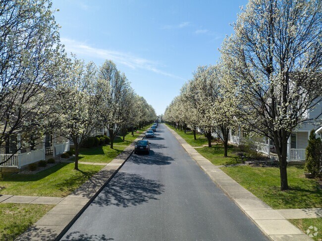 Beautiful blooming pears trees throughout the Village at Polaris Park in Polaris South.