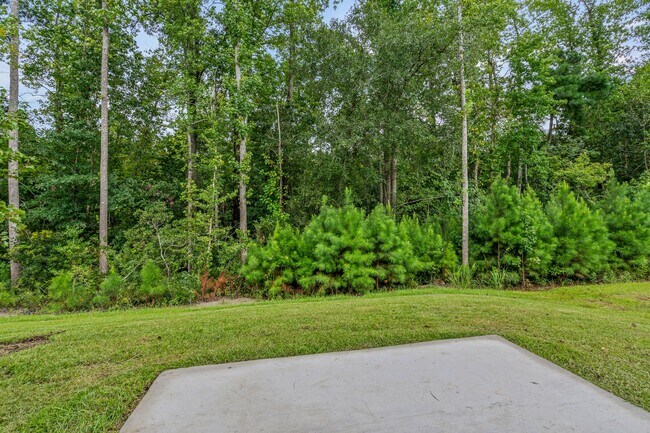 994 Cherrystone Loop, Conway, SC 29526 - photo 4