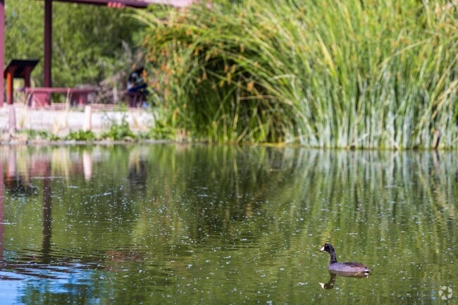Clark County Wetlands Park spans 2,900 acres of wildlife habitat and outdoor classroom.