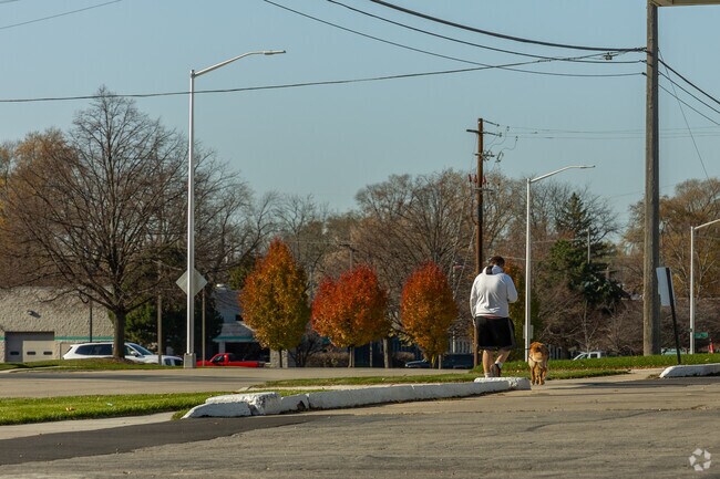 Beautiful fall leaves in the background of a dog walker in the Stocker area.