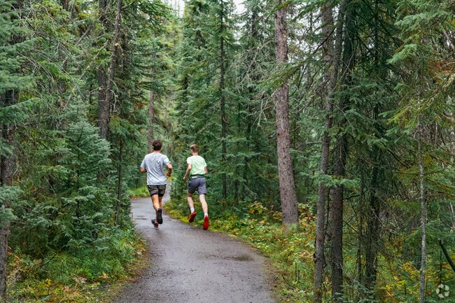 Enjoy a brisk morning run at Wedgewood Wildlife Sanctuary in Fairbanks.
