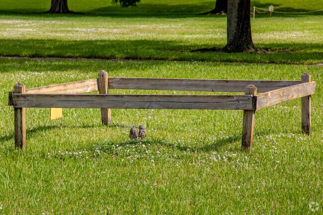 Burrowing Owls are common throughout the Flamingo Gardens neighborhood of Cooper City, FL.
