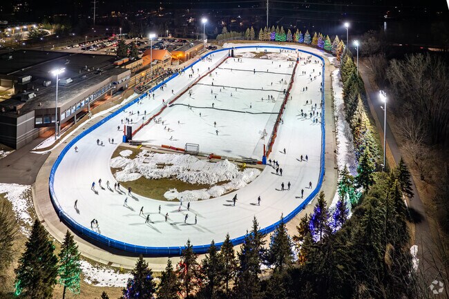 Join Roseville for their New Years Eve on Ice Event.