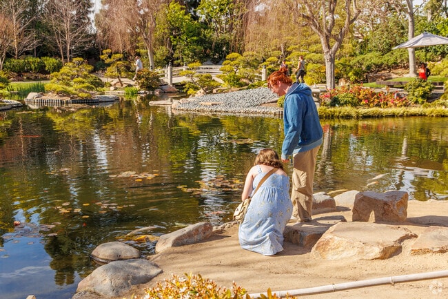 You can feed the koi when you visit the Japanese Garden at nearby CSULB.