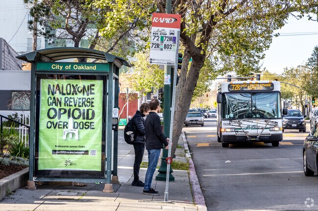 There are many AC transit stops Paradise Park connecting riders throughout the Bay Area.