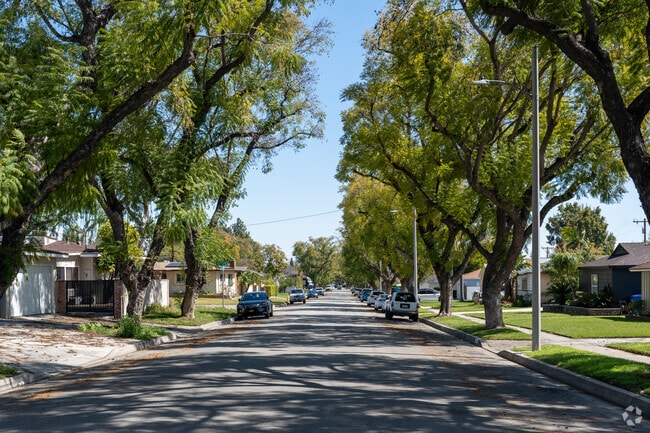 A look down your typical street in Whittier, beautifully lined with trees.