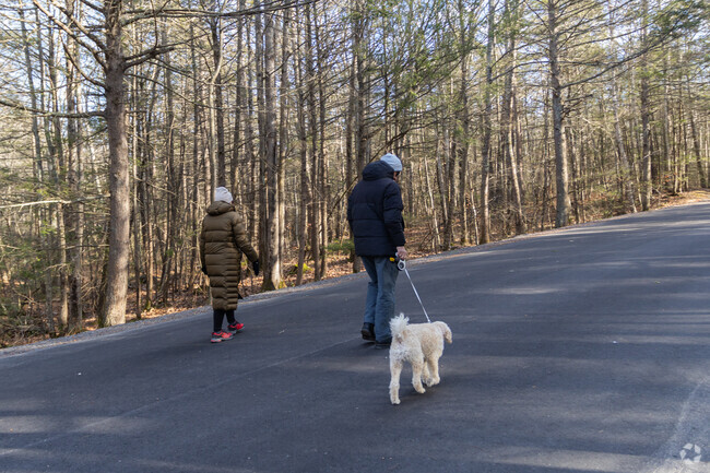 Leashed pups and their owners are a common sight in east Saco.