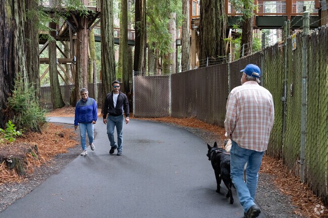 Locals enjoy the trails through Sequoia Park under the Redwood Sky Walk.