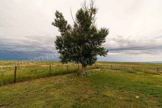 5000 Co Rd 92, Carr, CO 80612 - photo 3