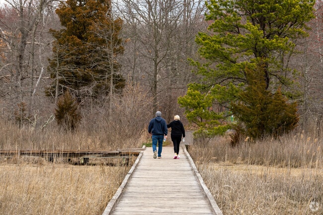 Locals take a walk on the boardwalk at Cheesequake State Park.