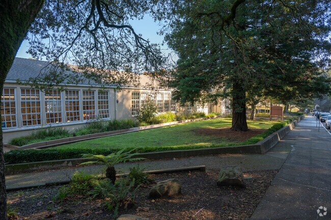 Old Mill Elementary School has a beautiful campus in Mill Valley.