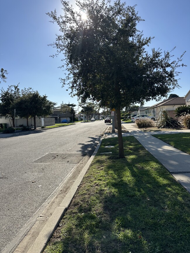 11505 McDonald St unit A, Culver City, CA 90230 - photo 4