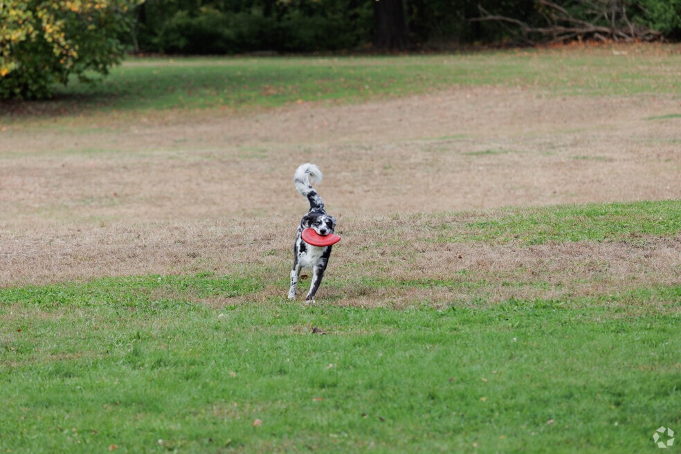 Neighborhood_Charles_022024.mp4