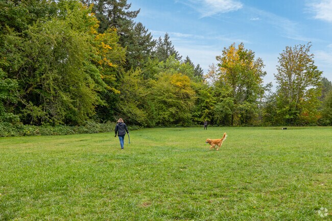 People play fetch with their dogs at Thomas City Park on SW Thomas St in Bridlemile.