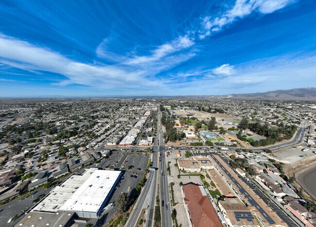 Endless blue sky soars high above Sherwood Gardens..