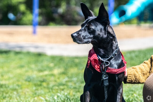 Neighboring Hanthorn parks offer green spaces and trails.