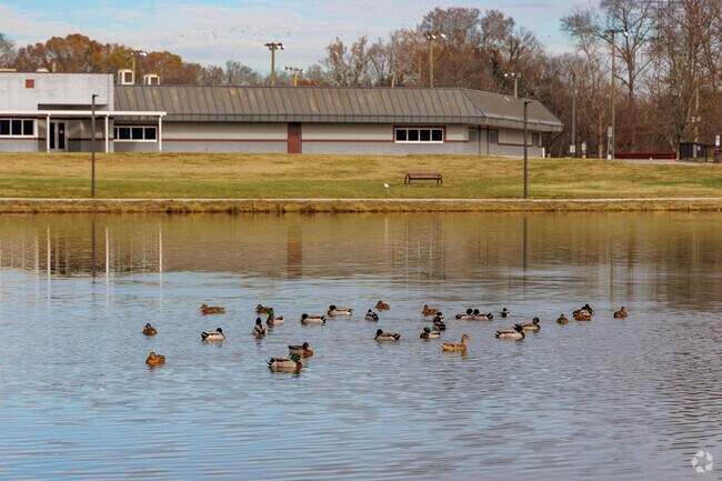 Ducks can be found seasonally along the water in the Alcoa Duck Pond.