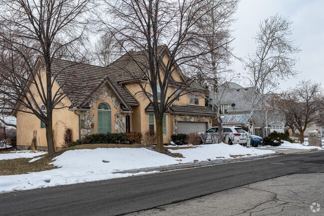 The streets of the Highland neighborhood are plowed for safe travel.