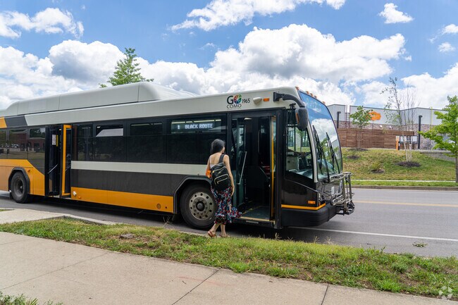 Take the free Go Como public bus system into downtown from Rockbridge.