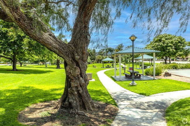 The Woodand Park in San Marcos is home for social events.