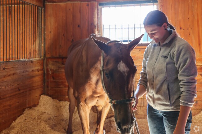 Kingswood Polo Club is a beautiful location close to Kensington which offers horse boarding and lessons.